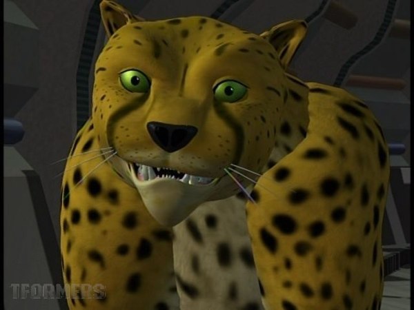 cheetah beast wars